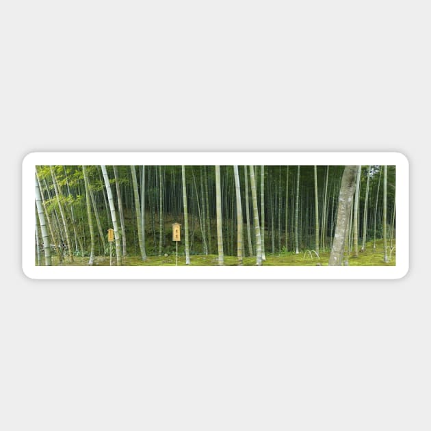 Bamboo Forest Panorama - Japan Sticker by GenAumonier